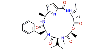 Guineamide A